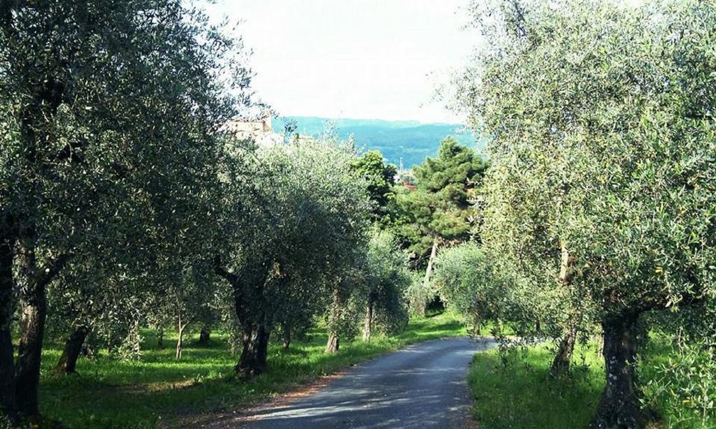 Podere Gianpaolo Pescia Ngoại thất bức ảnh